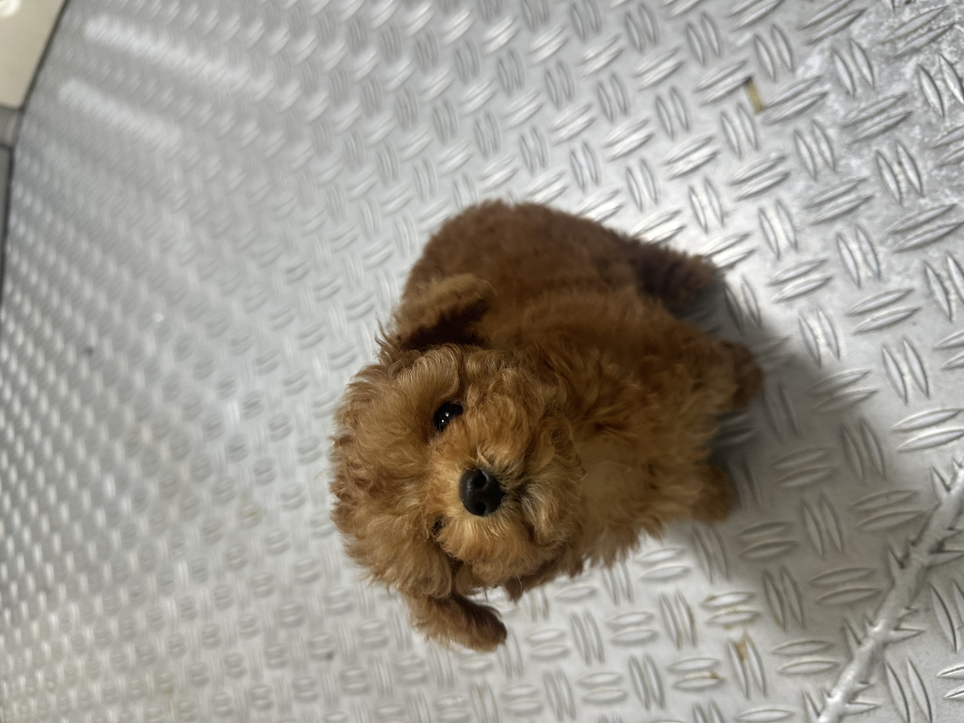ダウンロード (3)